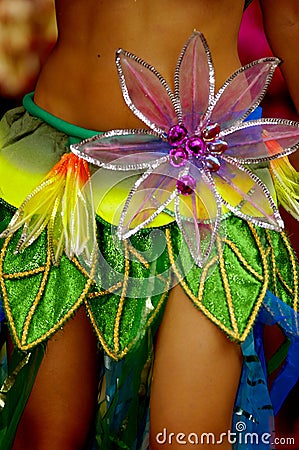 Samba dancer dress