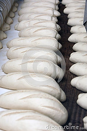 Bread factory, production line