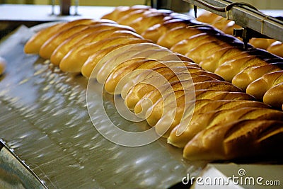 Bread factory, production line