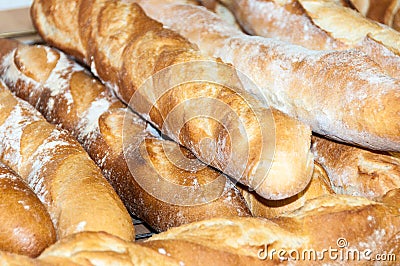 Bread-French baguettes