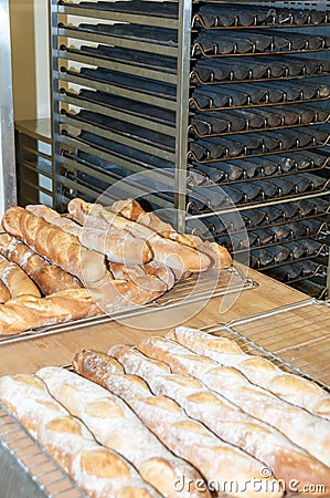 Bread-French baguettes in a bakery