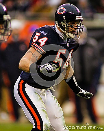 Brian Urlacher Chicago Bears