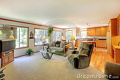 Bright large living room with TV.