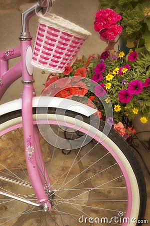 Bright Pink Bicycle and Basket With Colorful Flowe