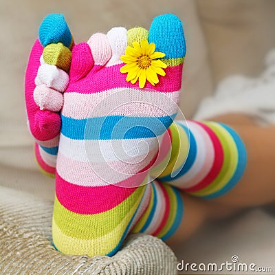 Bright Socks