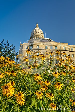 Bright yellow flowers at the base of the state Capital