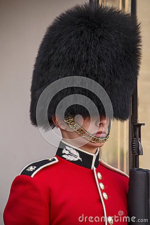 British royal guard portrait
