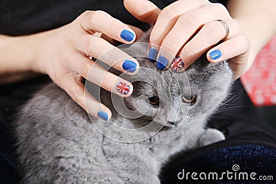 British Shorthairkitten and Union Jack flag