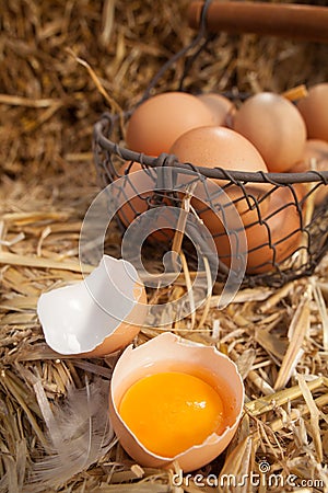 Broken open fresh farm egg