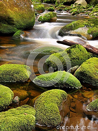 Broken trunk on blocked at stream bank above bright blurred waves. Big mossy boulders in clear water of mountain river.