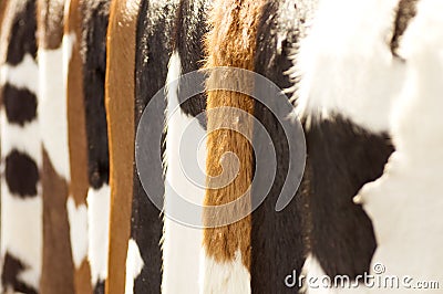 Brown cow fur background