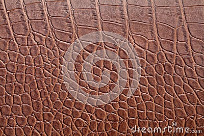 Brown crocodile skin