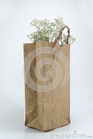 Brown Crumpled paper Bag