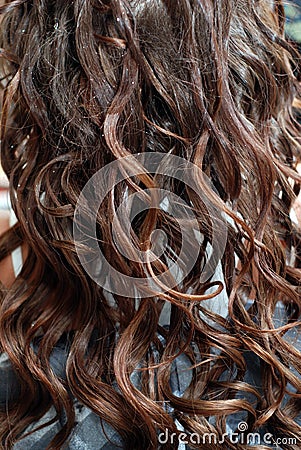 Brown curly hair