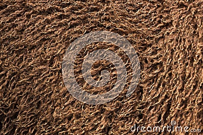 Brown Fluffy Sheep Wool Background