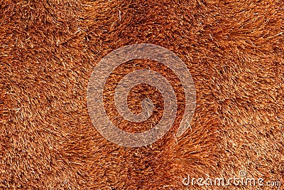 Brown fur texture