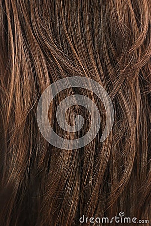 Brown hair texture