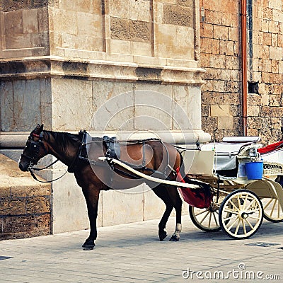  - brown-horse-harnessed-white-carriage-near-old-building-wall-cathedral-santa-maria-palma-majorca-spain-waiting-tourists-toned-photo-29799851