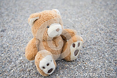 Brown teddy bear isolated