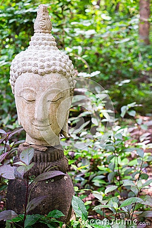 Buddha in thailand stucco nature