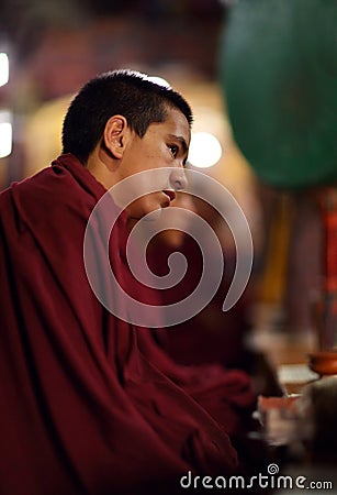 Buddhist novice, Ladakh