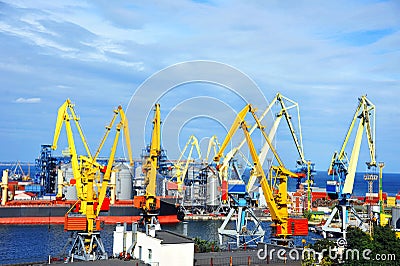 Bulk cargo ship under port crane