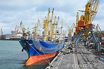 Bulk cargo ship under port crane