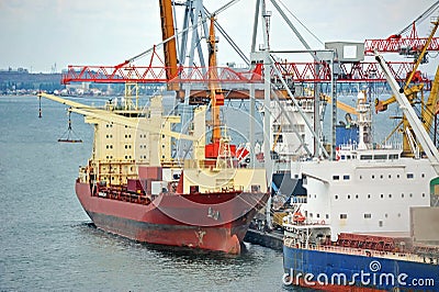 Bulk cargo ship under port crane