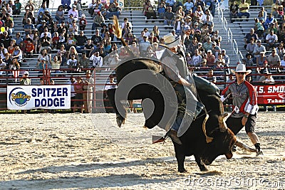 Bull Rider