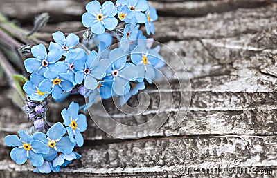 Bunch of blue forget me not flower