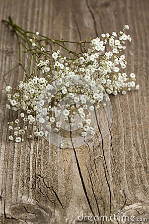 Bunch Of Gypsophila (Baby's-breath) Royalty Free Stock Image - Image