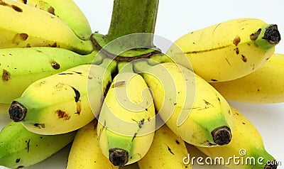 Bunch of Lady Fingers Banana