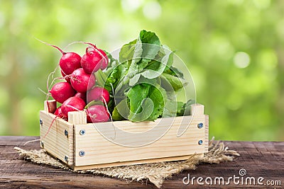 Bunch of radishes in a wooden box