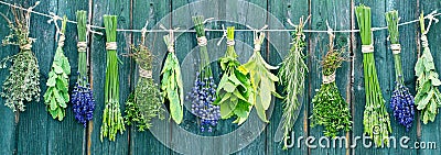 Bunches of different herbs