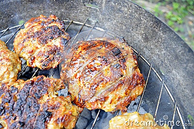 Burger Meat Stock Photo - Image: 41848273