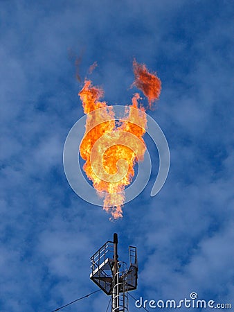 Burning oil gas flare