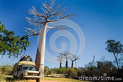 Bush taxi and baobab