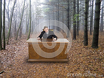 Businessman, Business Office in Woods, Going Green