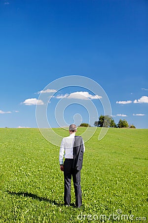 Businessman in a green field