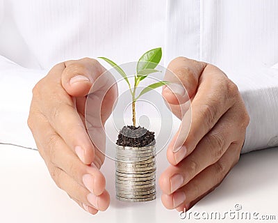 Businessman holding plant sprouting