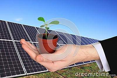 Businessman s Hand with the green little Plant