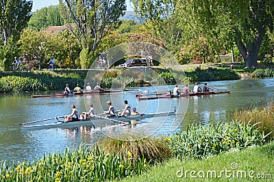 A busy Day for Rowers on the Avon River, Christchurch.