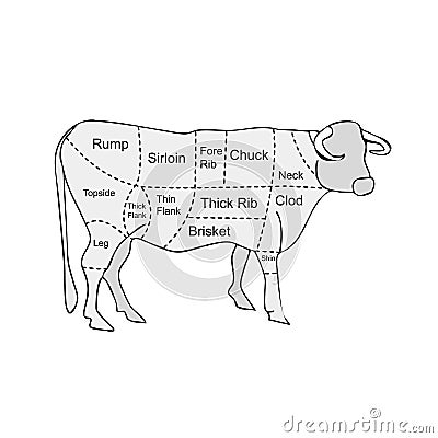 Butcher meat sections of cow