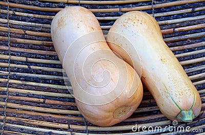 Butternut Squash in Basket