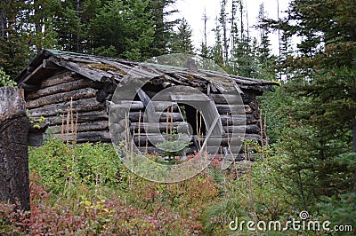 Cabin at Coloma Ghost Town