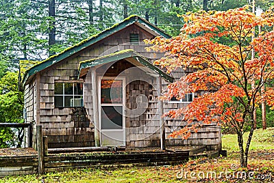 Cabin in the rain forest of Oregon