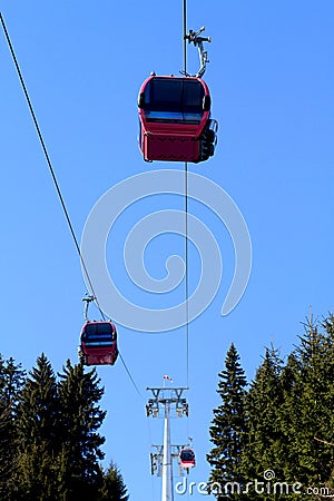 Cable car above trees