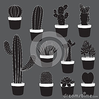 Cactus and Desert Plants Collection