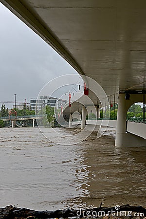 Calgary Flood 2013