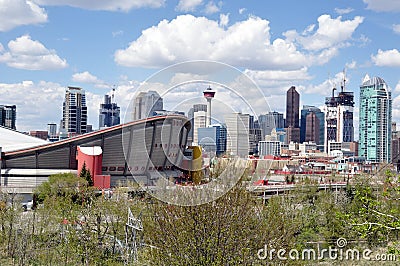 Calgary s urban jungle